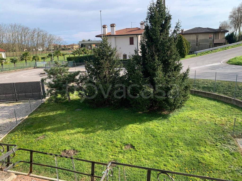 immagine annuncio 11 di 13