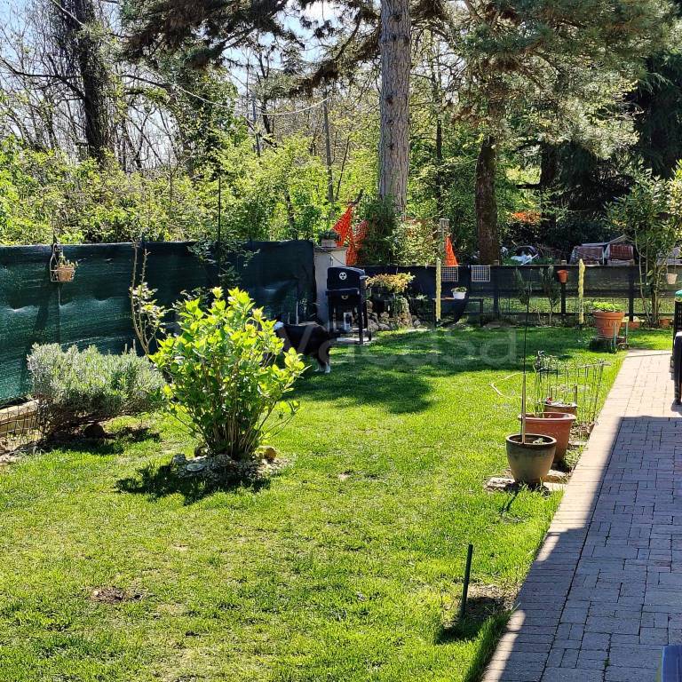 immagine annuncio 2 di 15