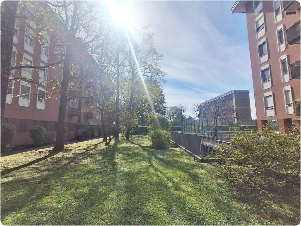 immagine annuncio 1 di 4