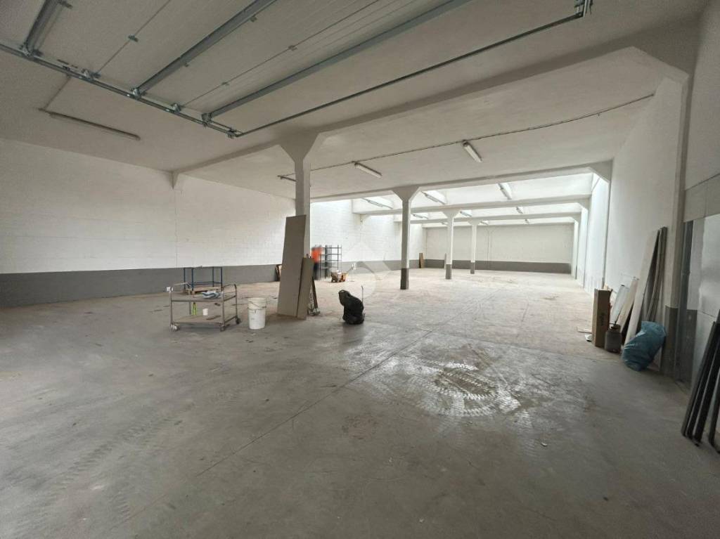 immagine annuncio 5 di 12