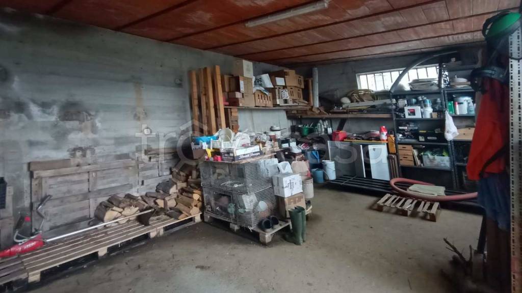 immagine annuncio 9 di 12