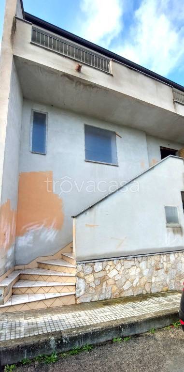 immagine annuncio 6 di 13