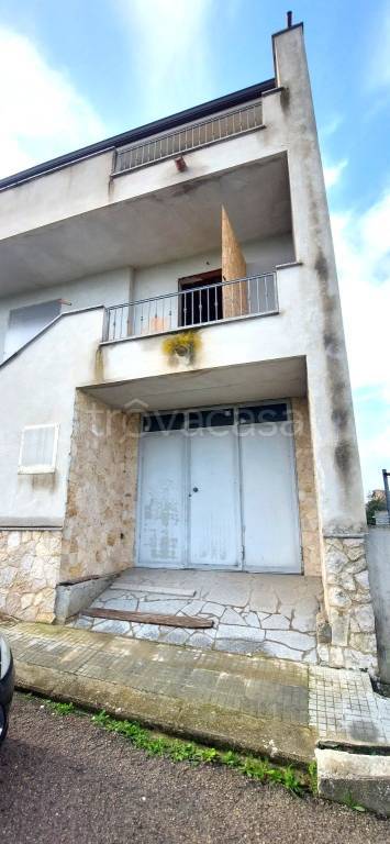 immagine annuncio 7 di 13