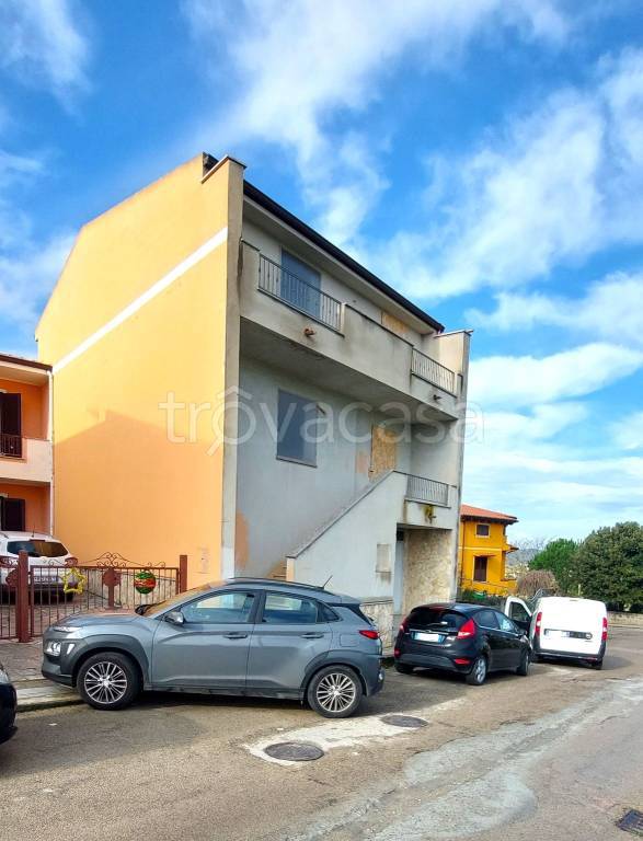 immagine annuncio 9 di 13