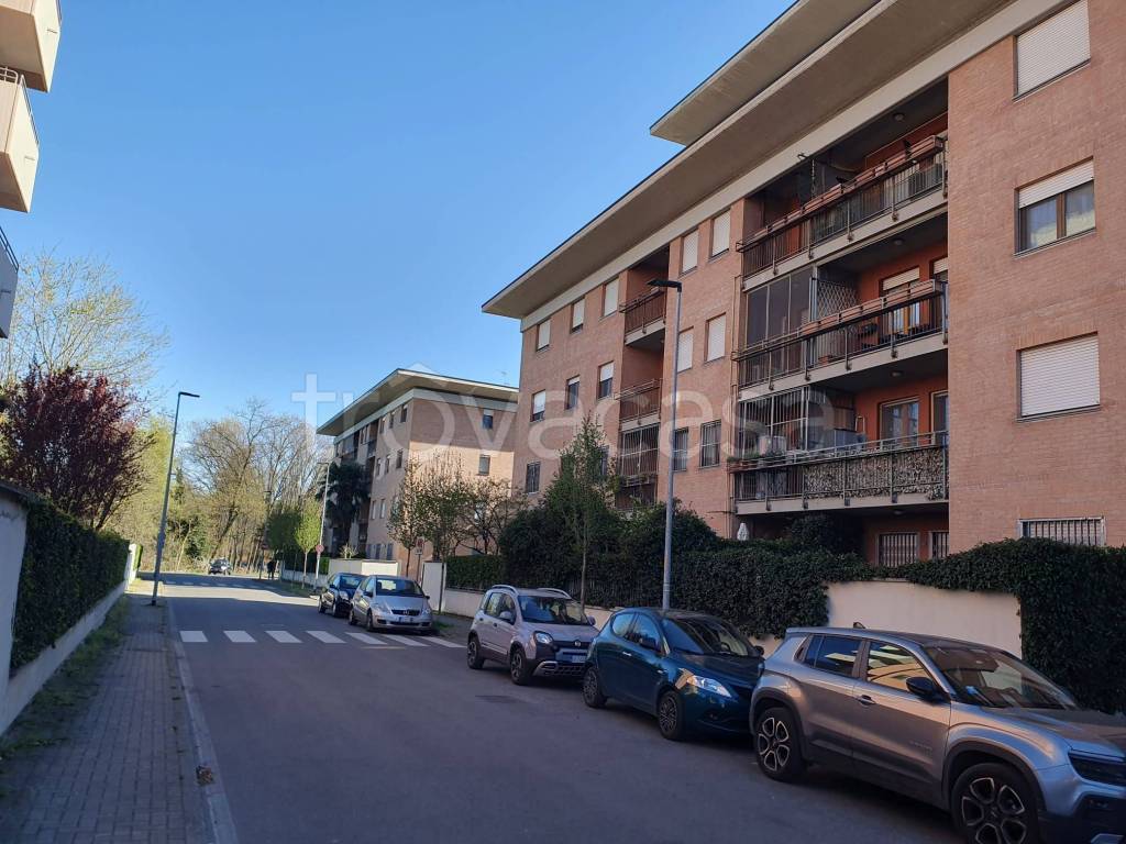 immagine annuncio 1 di 15