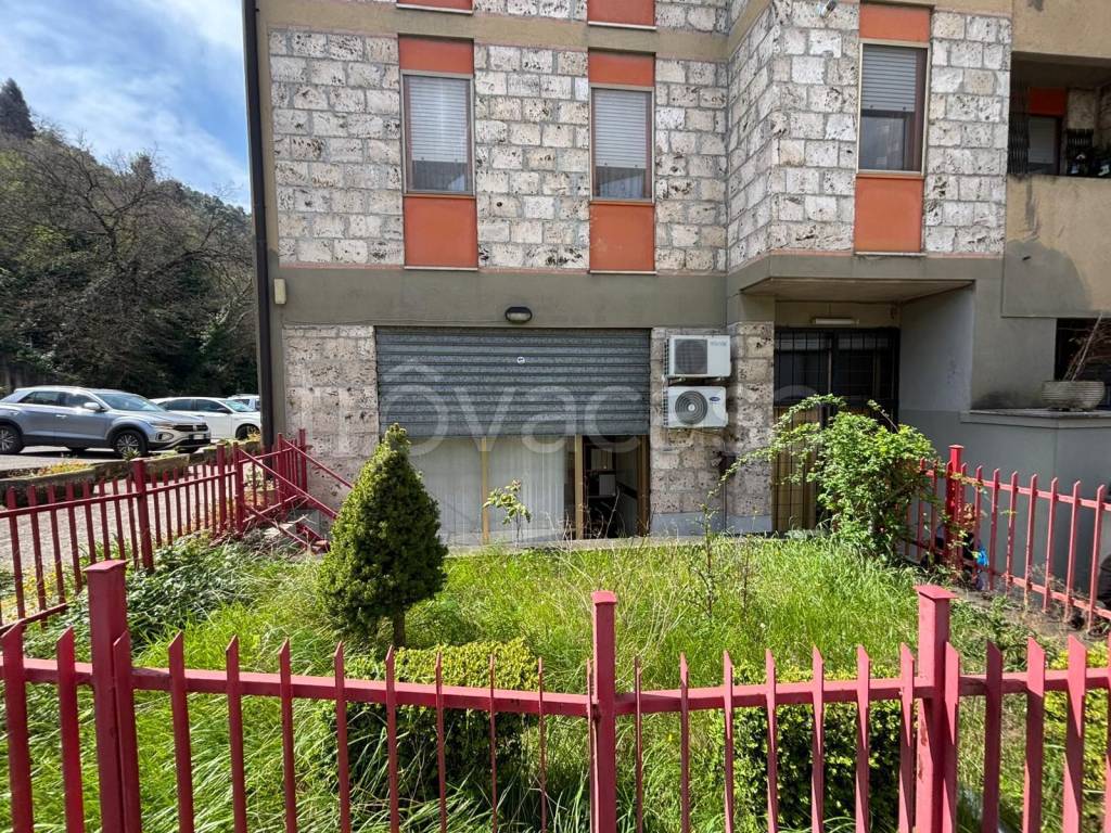 immagine annuncio 5 di 9