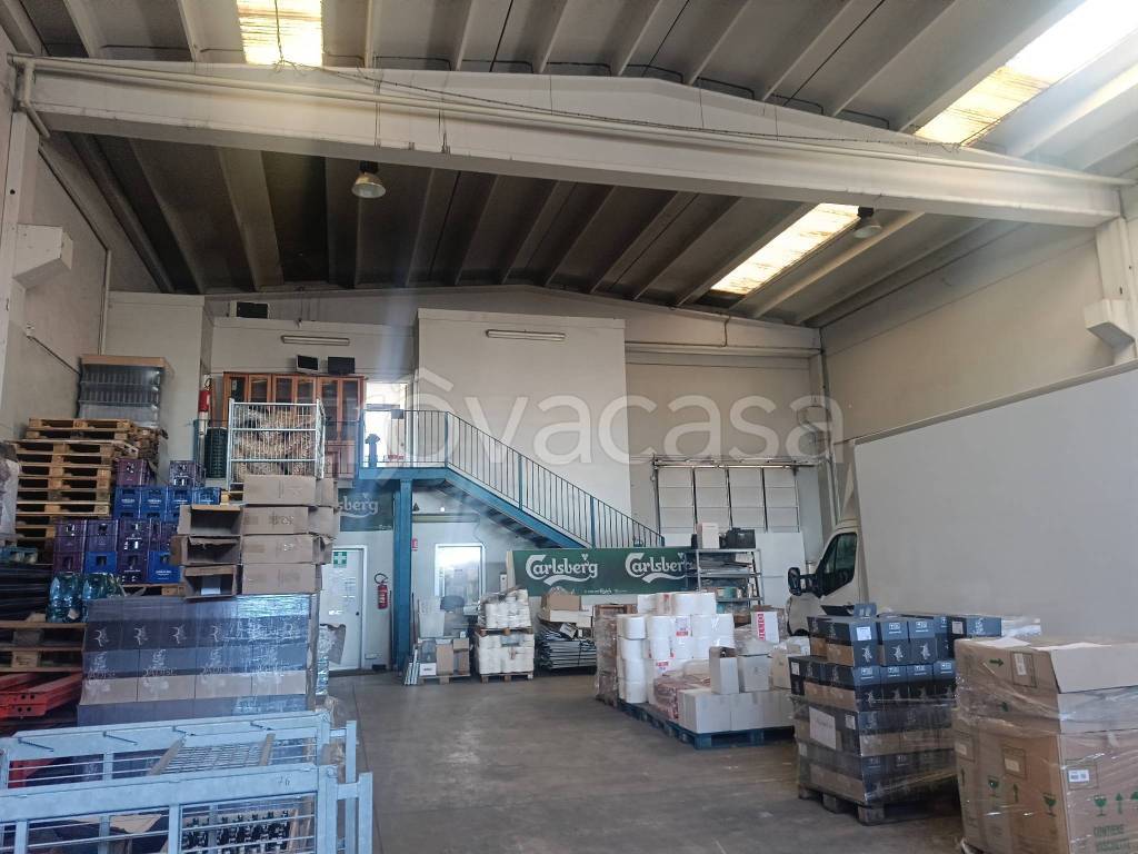 immagine annuncio 2 di 13