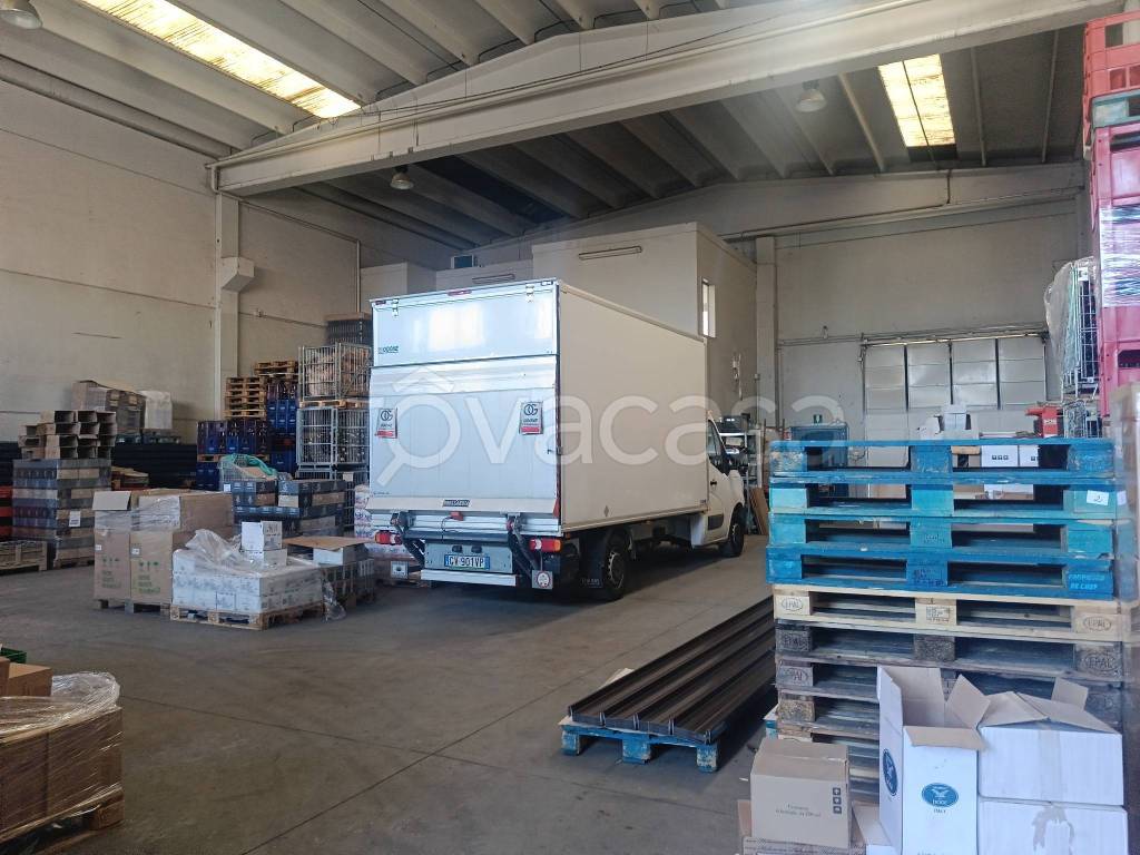 immagine annuncio 5 di 13