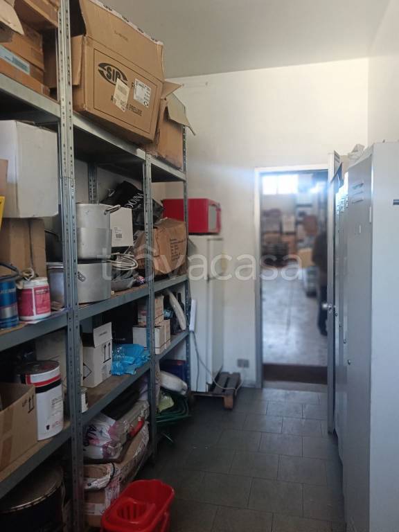 immagine annuncio 11 di 13