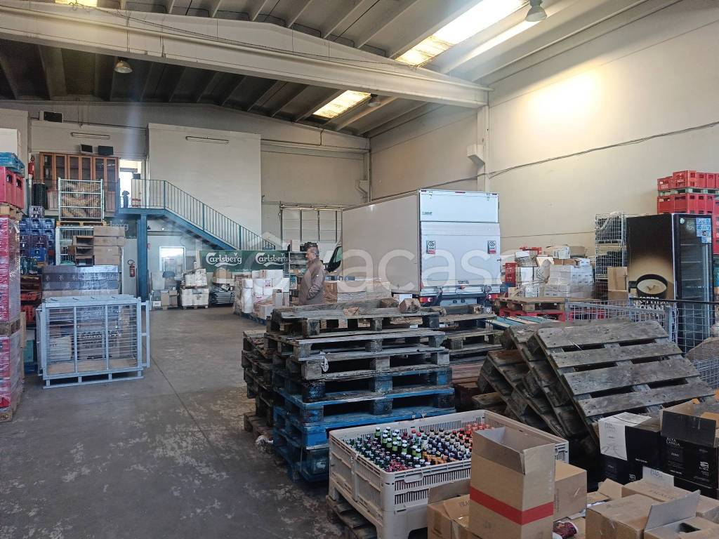 immagine annuncio 12 di 13