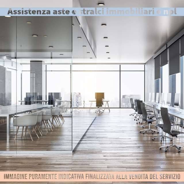 immagine annuncio 8 di 12