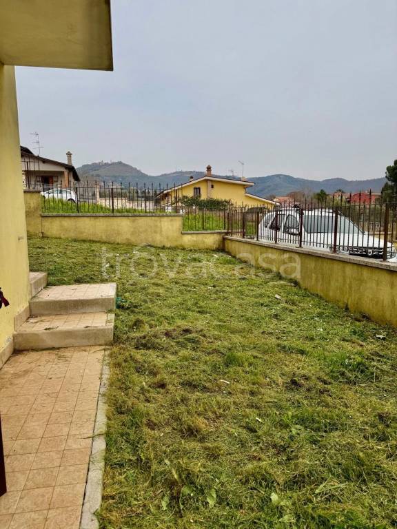 immagine annuncio 8 di 11