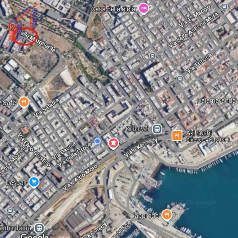 immagine annuncio 10 di 12