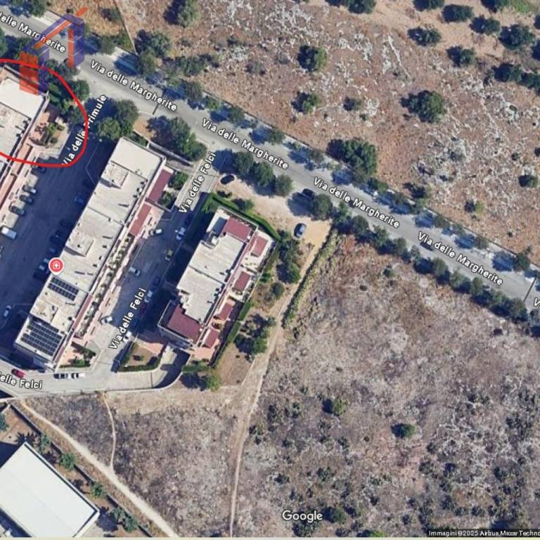 immagine annuncio 11 di 12