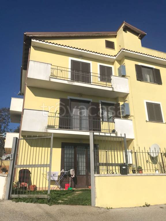 immagine annuncio 9 di 11