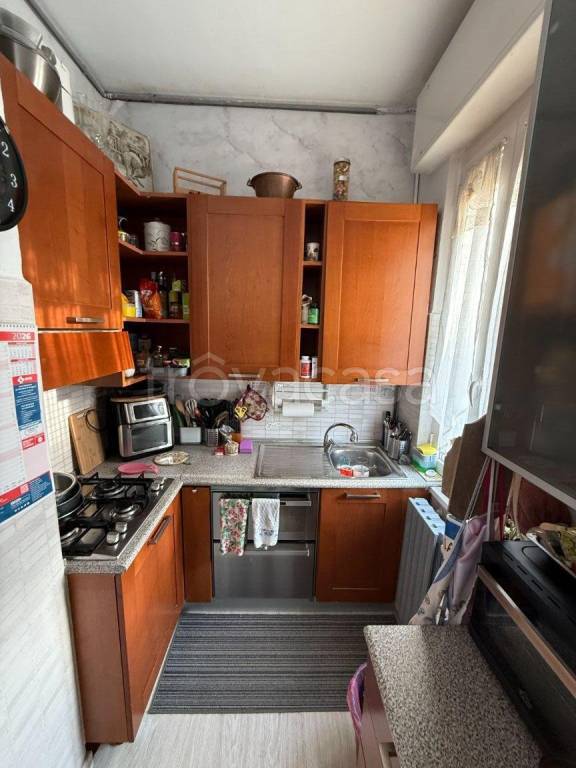 immagine annuncio 5 di 14