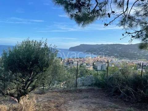 immagine annuncio 4 di 12