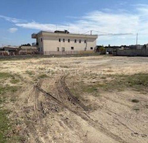 immagine annuncio 1 di 6