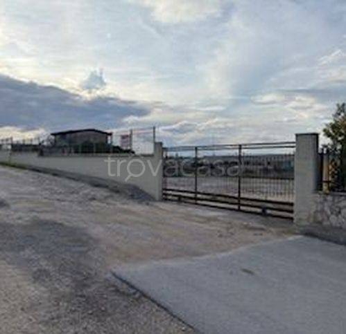 immagine annuncio 3 di 6