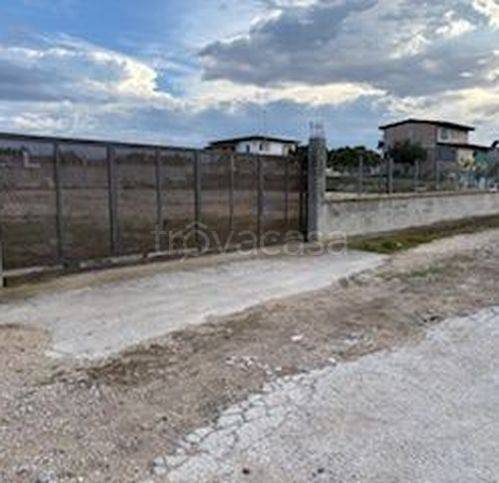 immagine annuncio 4 di 6