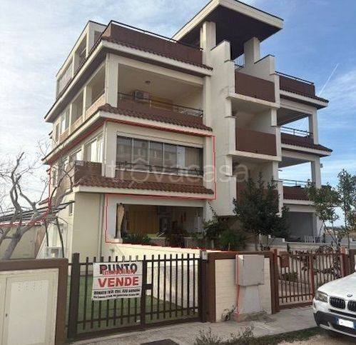 immagine annuncio 1 di 14