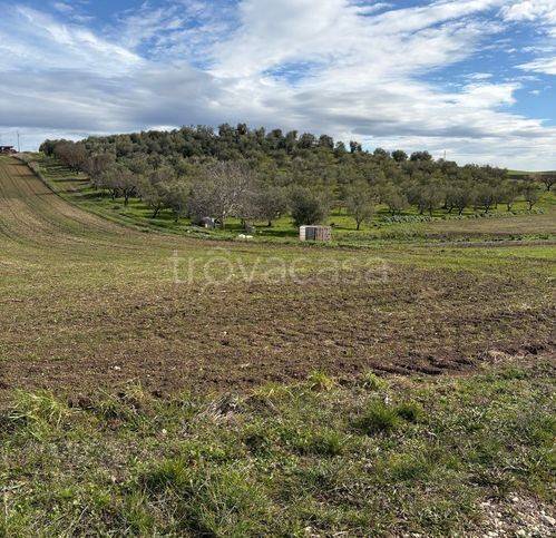 immagine annuncio 4 di 6