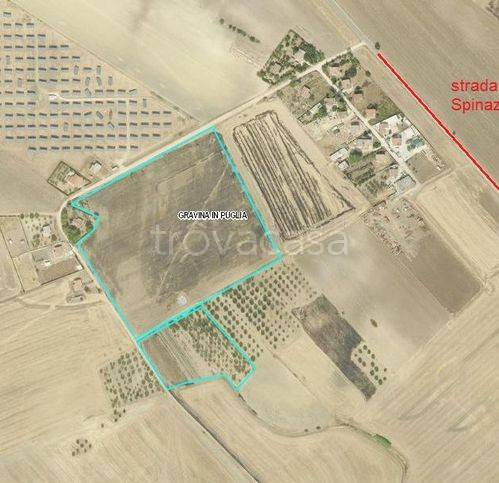 immagine annuncio 5 di 6