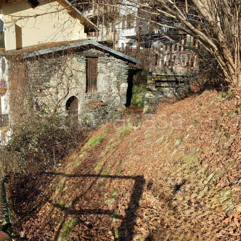 immagine annuncio 1 di 9