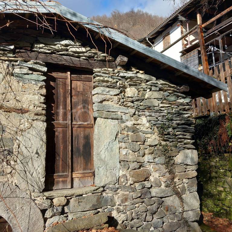 immagine annuncio 5 di 9