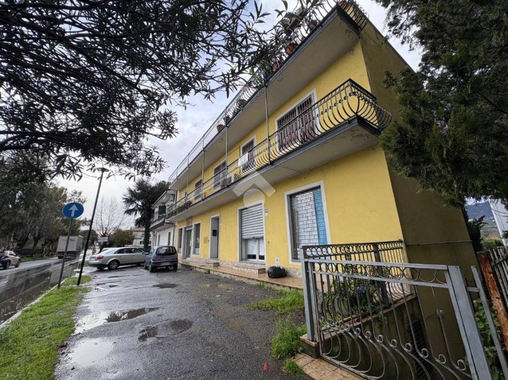 immagine annuncio 1 di 14