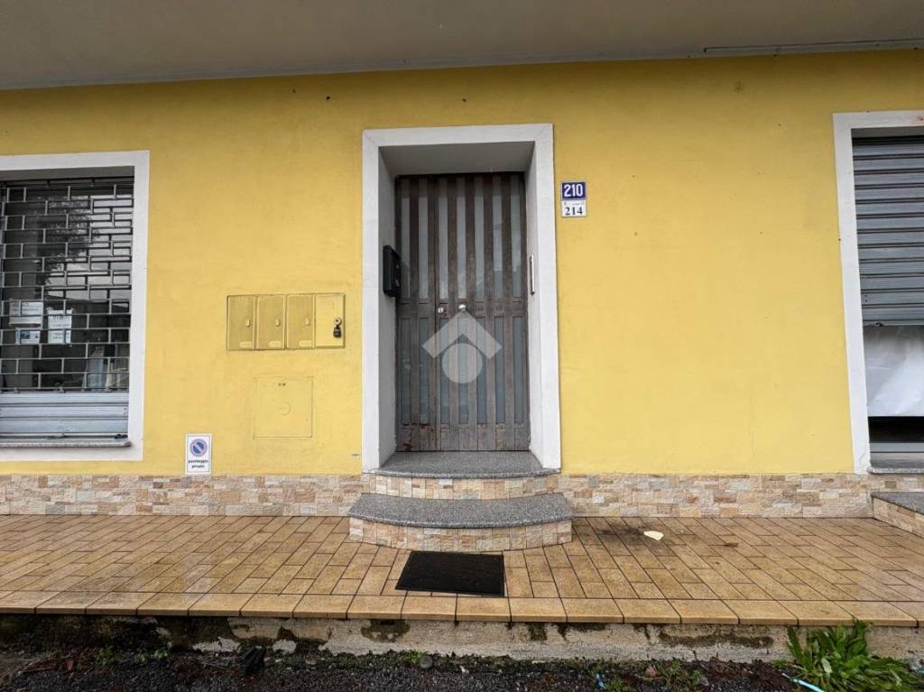 immagine annuncio 3 di 14