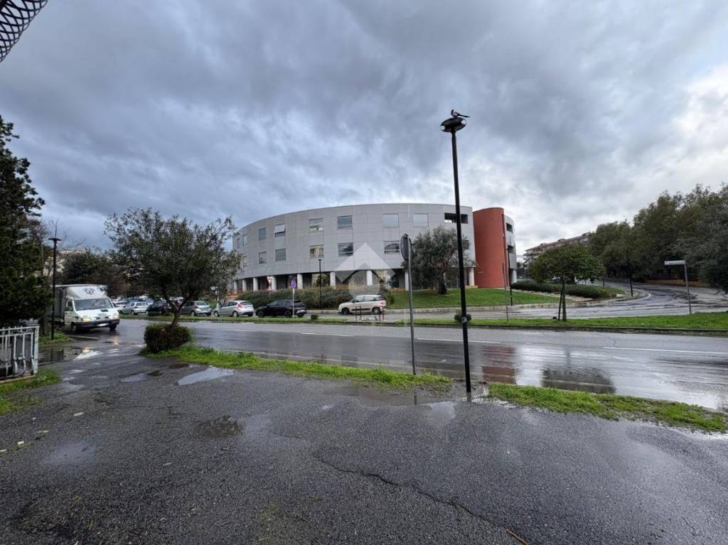 immagine annuncio 5 di 14