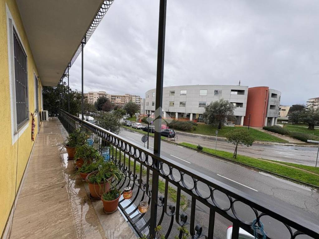 immagine annuncio 6 di 14