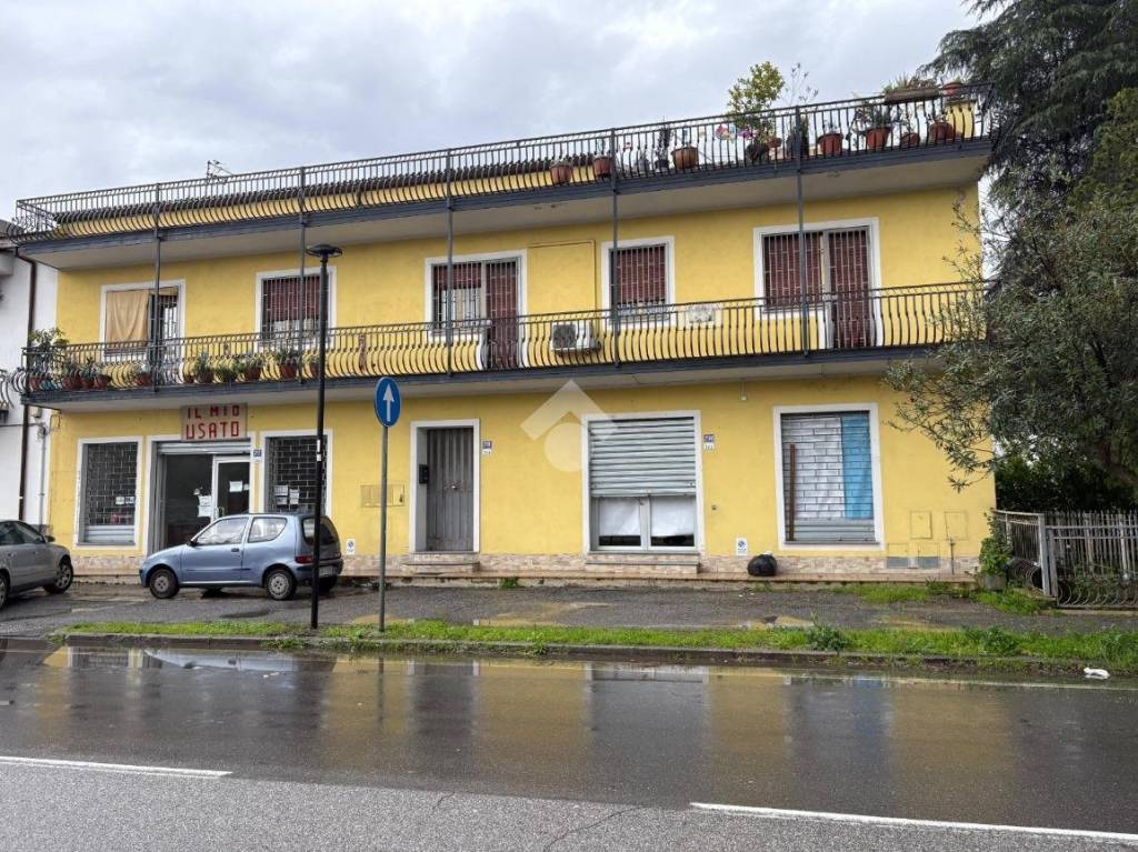 immagine annuncio 7 di 14