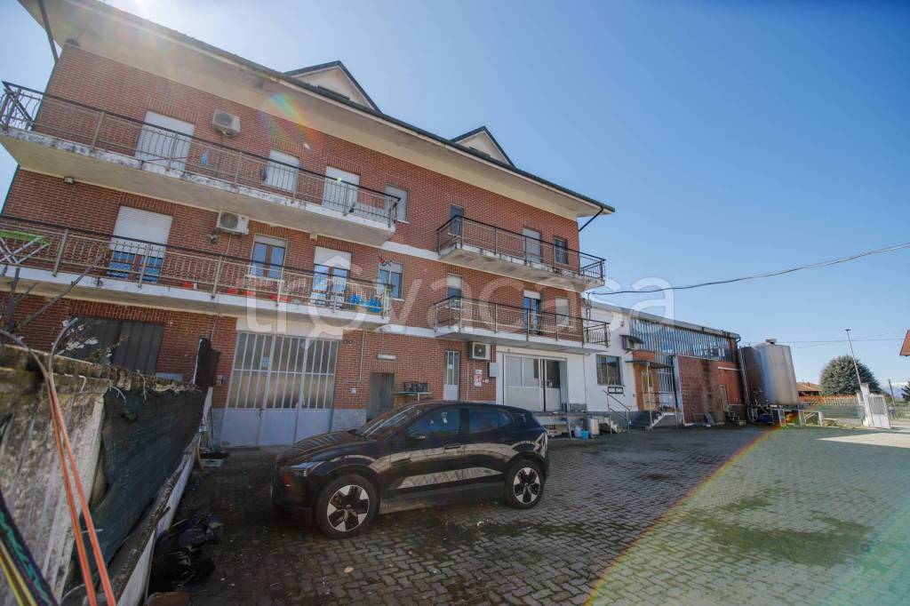 immagine annuncio 6 di 14