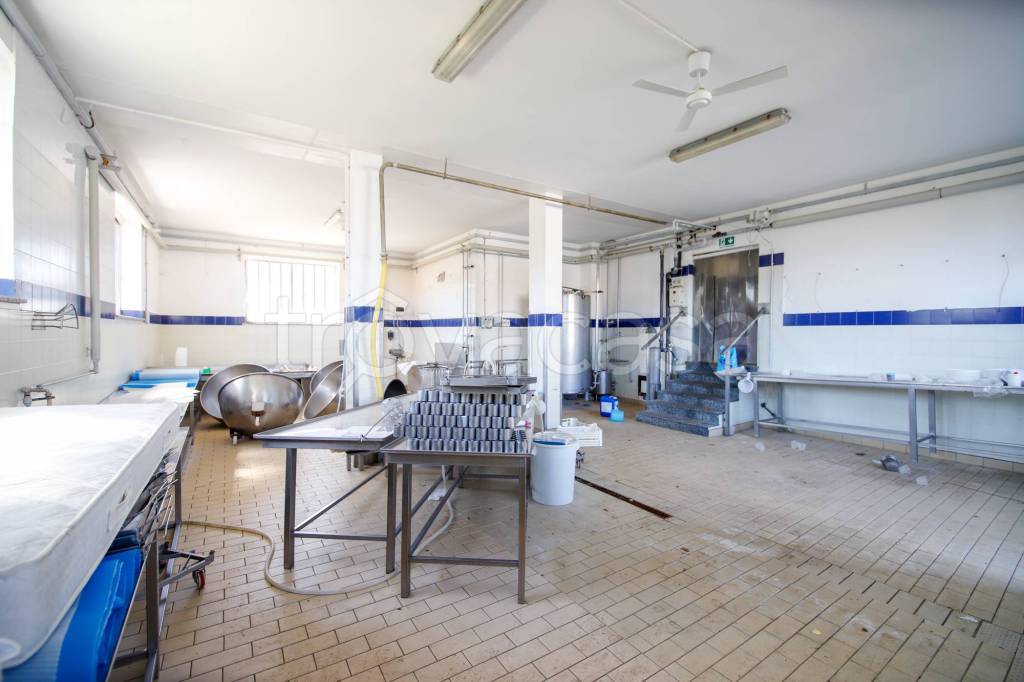 immagine annuncio 7 di 14