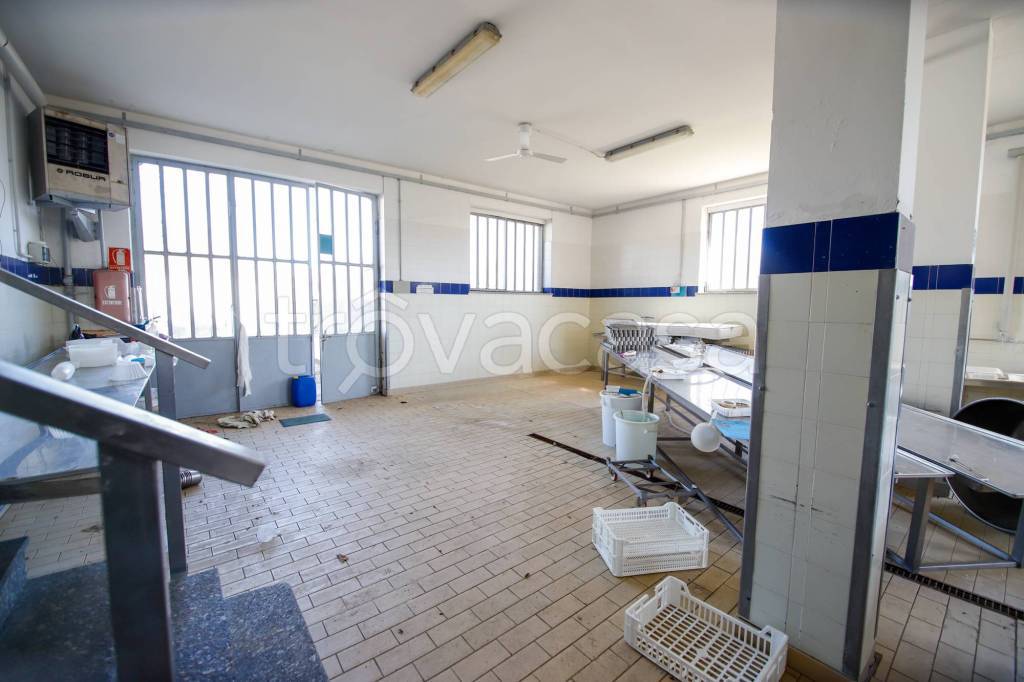 immagine annuncio 10 di 14