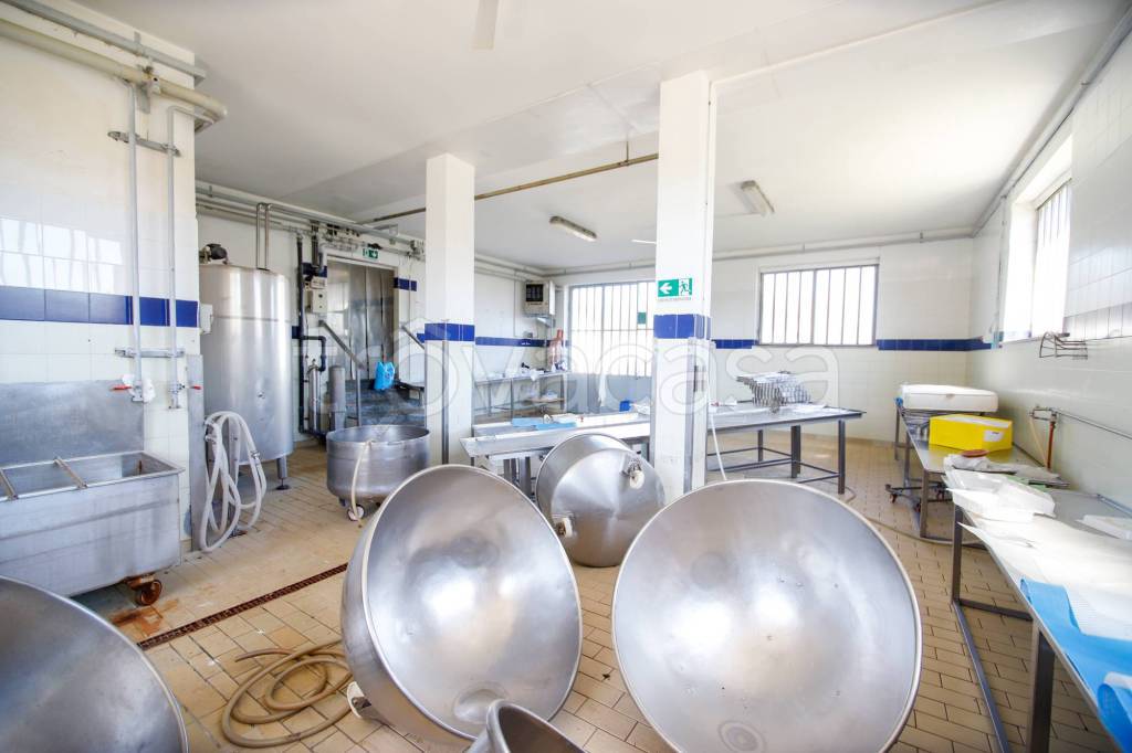 immagine annuncio 8 di 14