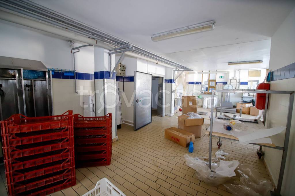 immagine annuncio 3 di 14