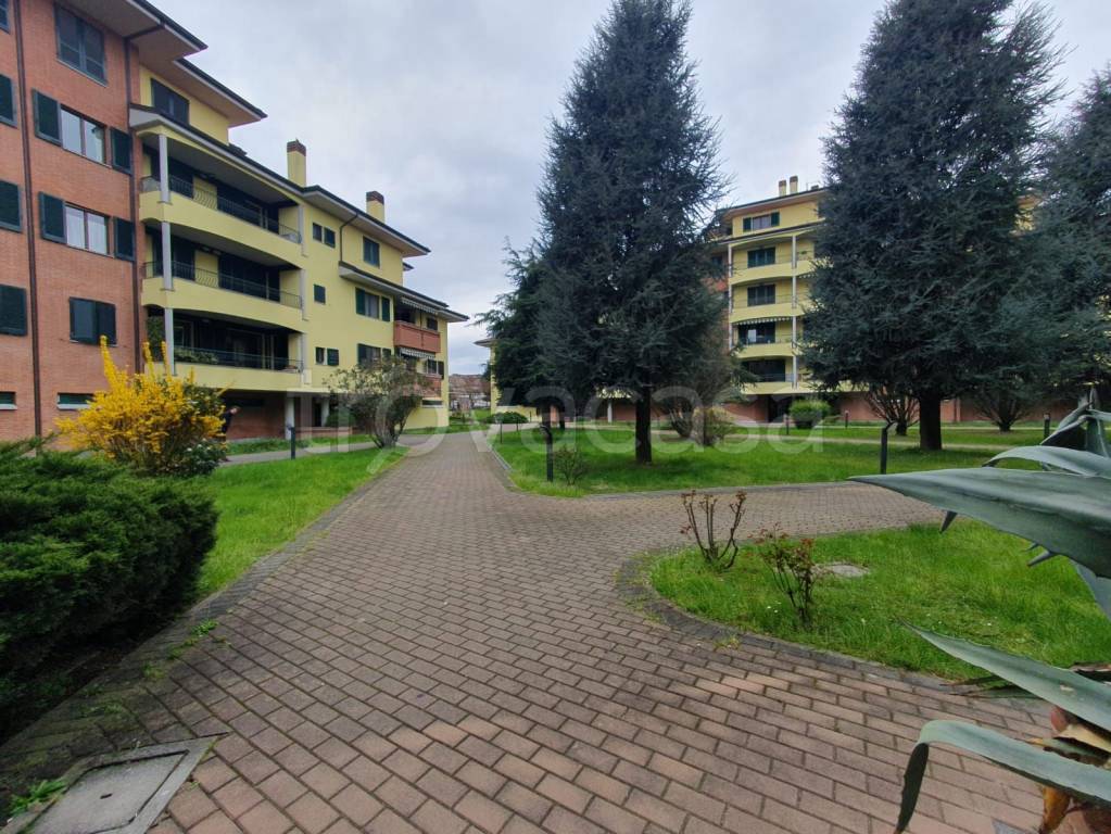 immagine annuncio 3 di 15