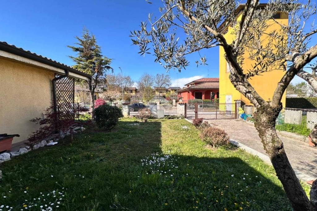 immagine annuncio 1 di 15