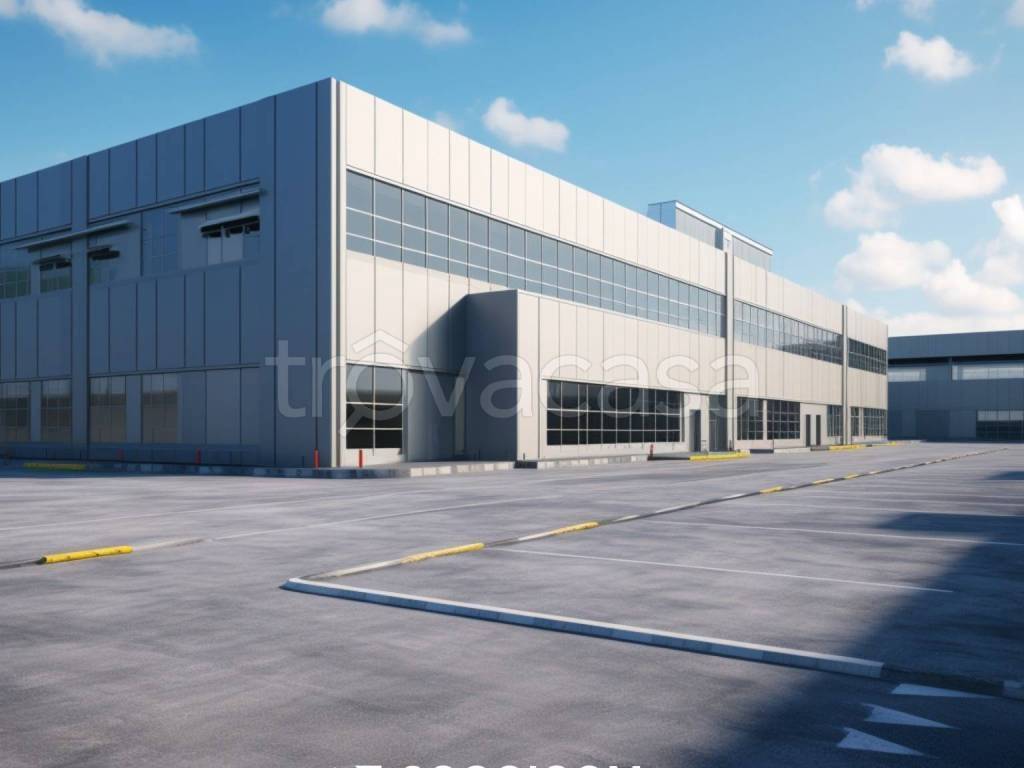 immagine annuncio 9 di 12