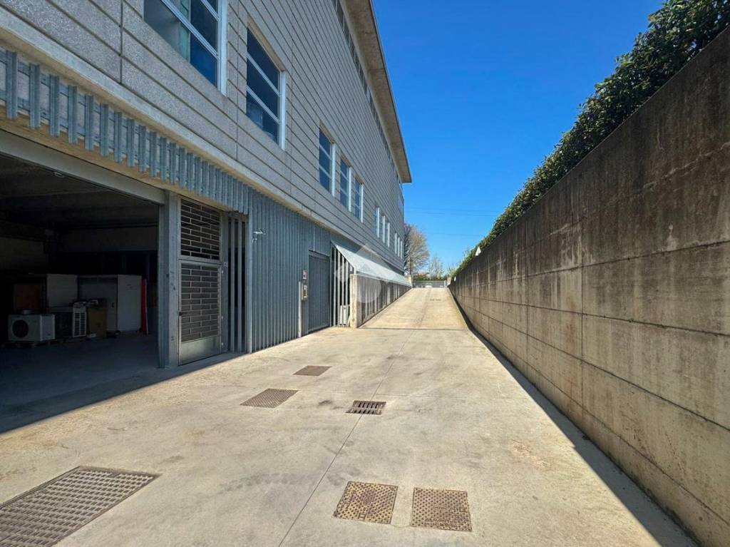 immagine annuncio 12 di 15