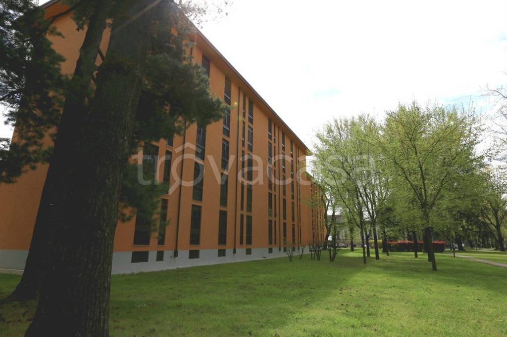 immagine annuncio 10 di 12