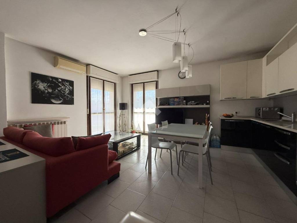 immagine annuncio 6 di 15