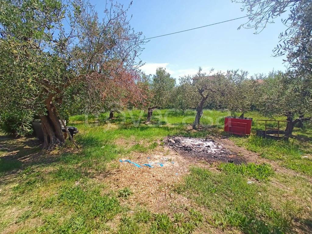 immagine annuncio 6 di 7