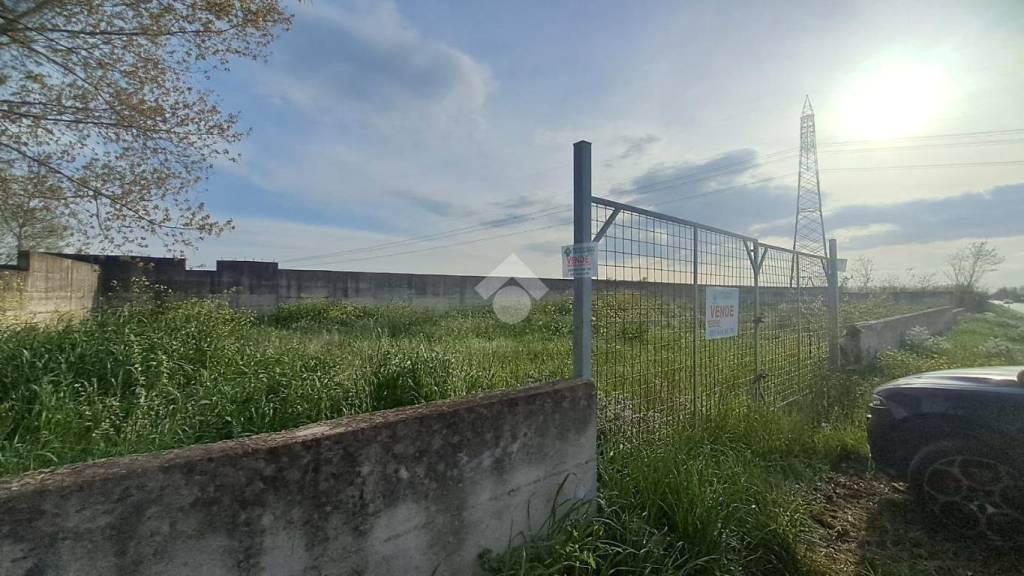 immagine annuncio 3 di 13