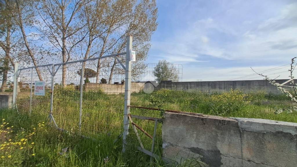 immagine annuncio 4 di 13