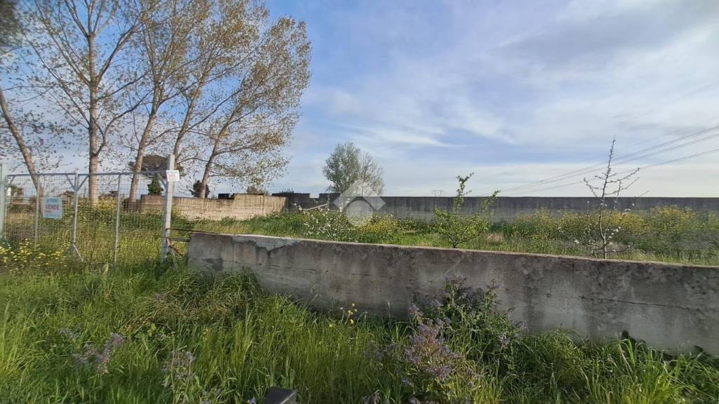 immagine annuncio 5 di 13