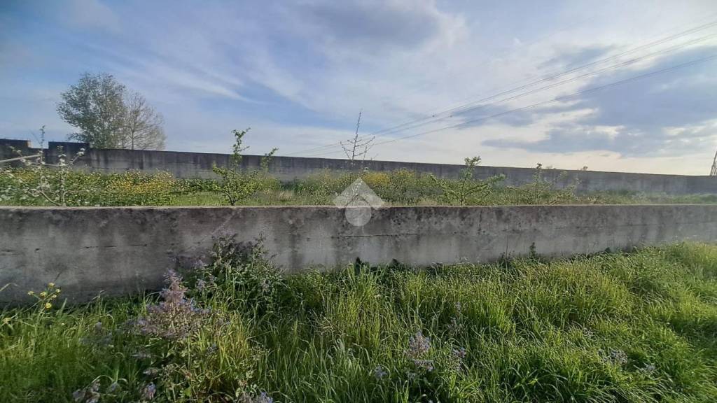 immagine annuncio 9 di 13